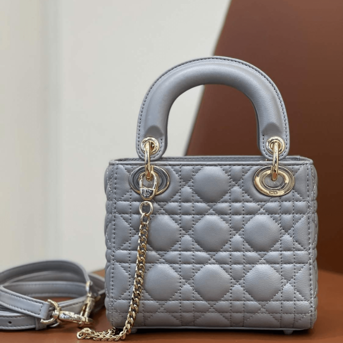 Mini Lady Dior Tasche